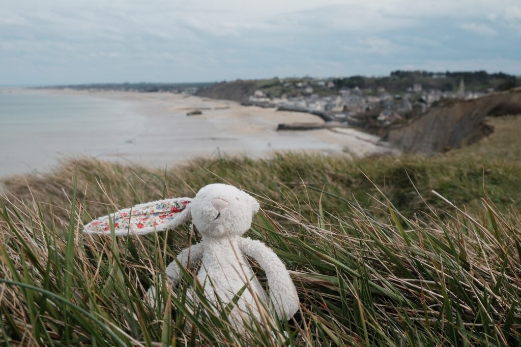 Fluffy regarde Arromanches